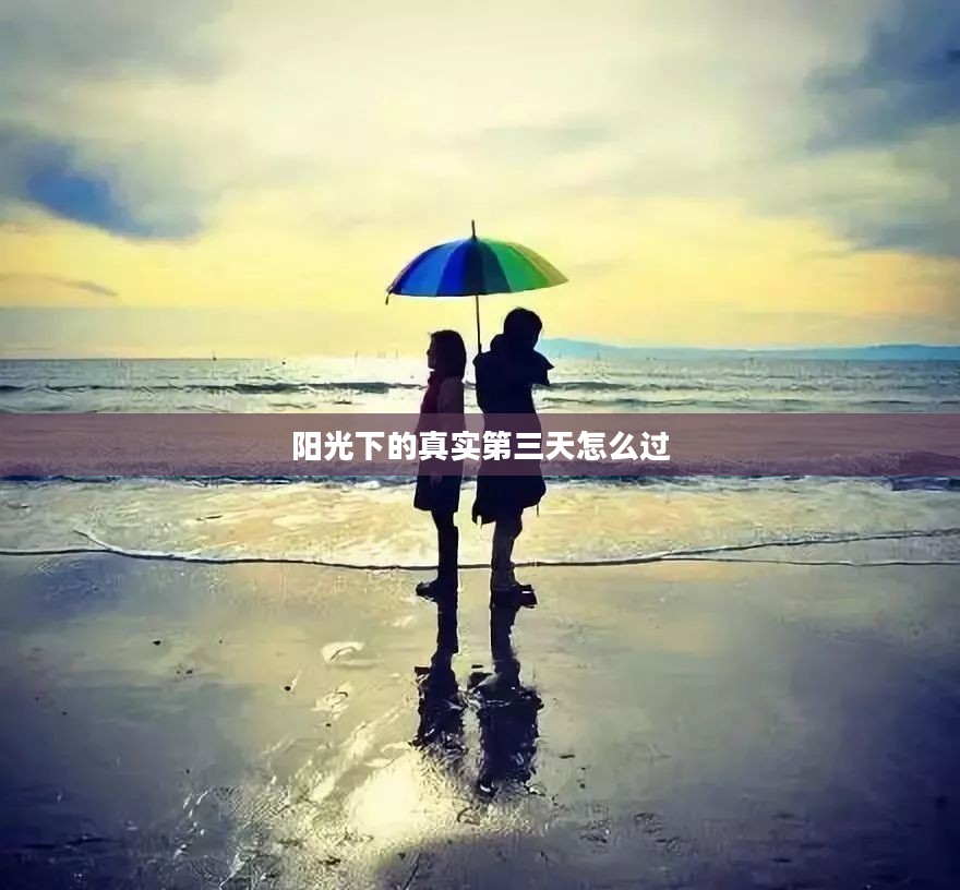 阳光下的真实第三天：揭露事实背后的秘密