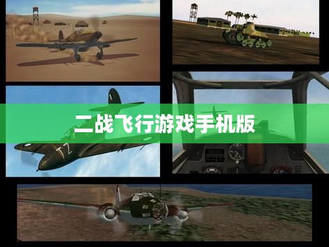 二战飞行游戏：历史与娱乐的完美融合