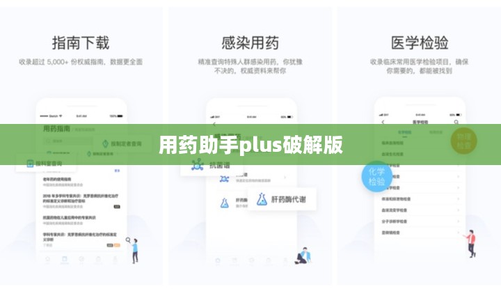 智能用药助手，确保药物治疗的精准性与安全性