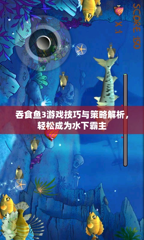 吞食鱼3游戏技巧与策略解析，轻松成为水下霸主