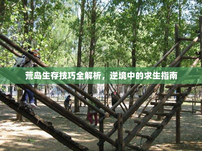 荒岛生存技巧全解析，逆境中的求生指南