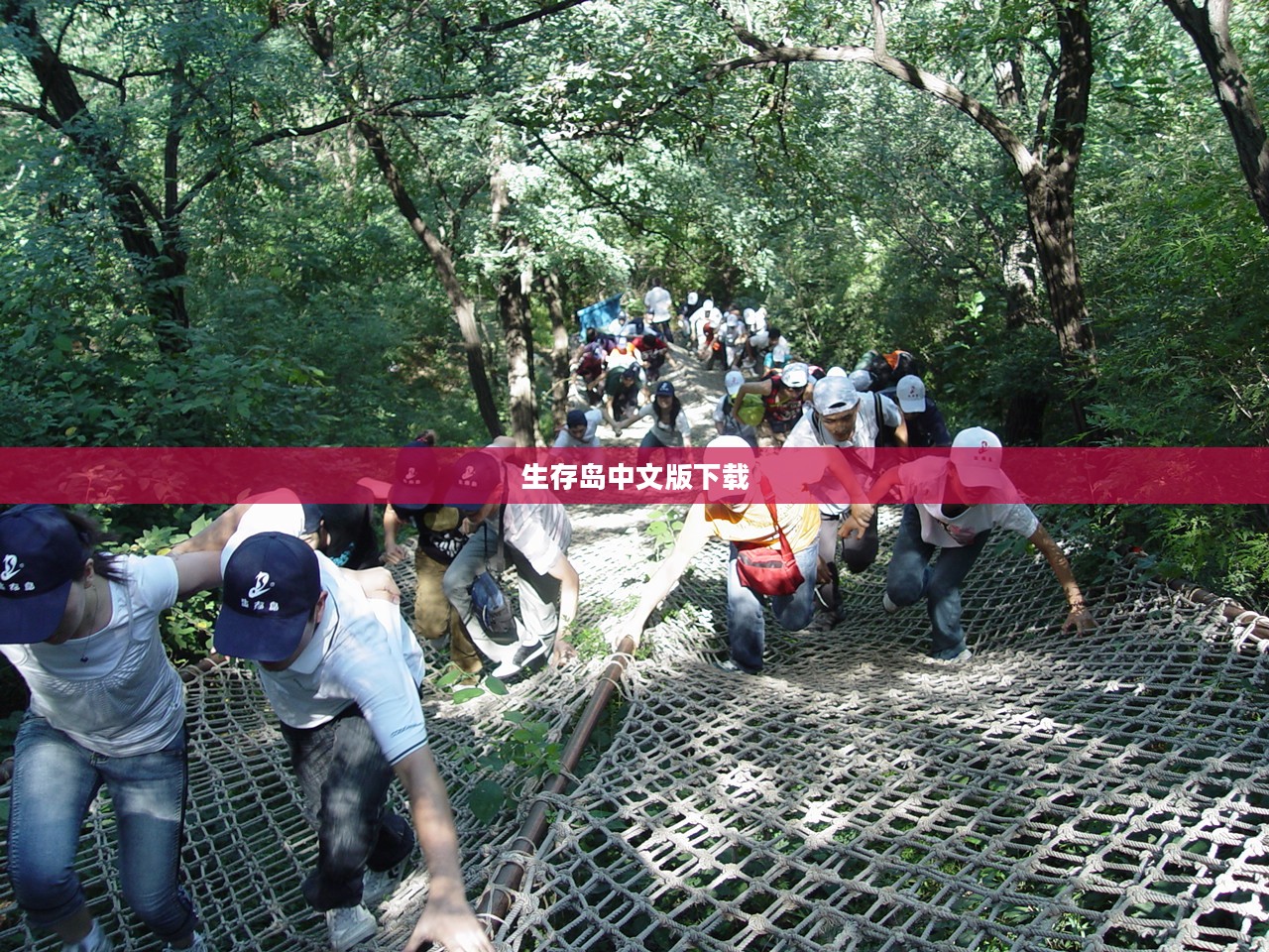 荒岛生存技巧全解析，逆境中的求生指南