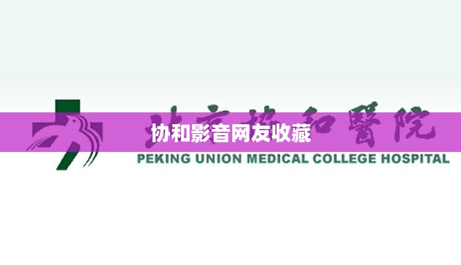 协和影音，卓越品质与人性化设计的完美结合