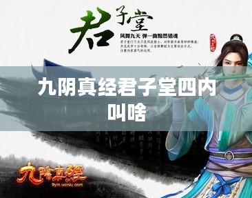九阴真经君子堂四内修炼秘籍解析