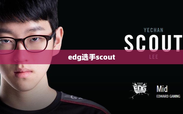 EDG中单Scout个人资料：职业生涯与成就回顾