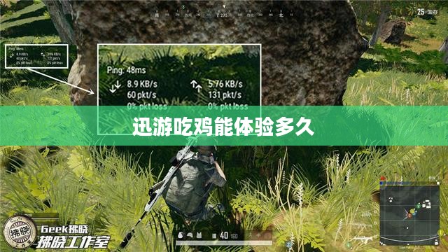 迅游助力“吃鸡”游戏：优化策略与玩家体验提升解析