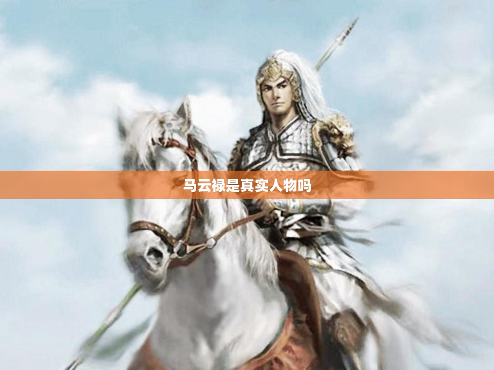 马云禄：商业帝国背后的战略思维与成功秘诀