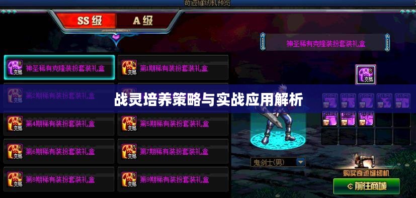战灵培养策略与实战应用解析