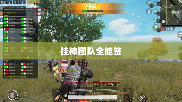 揭秘挂神团队：作弊行为及其对社会影响解析