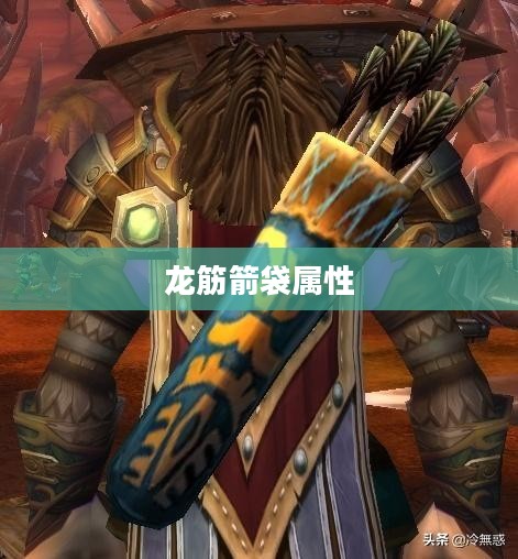 龙筋箭袋，传统工艺与战争智慧的结晶