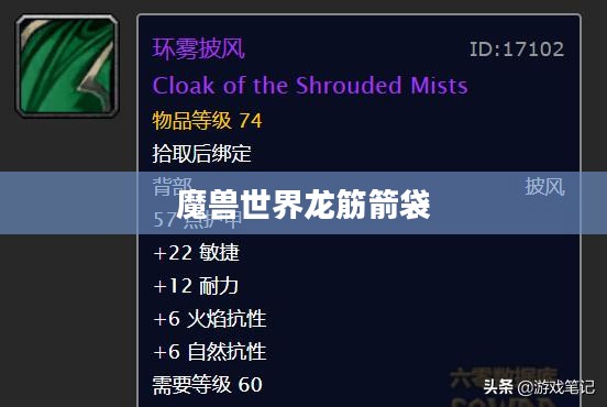 龙筋箭袋，传统工艺与战争智慧的结晶