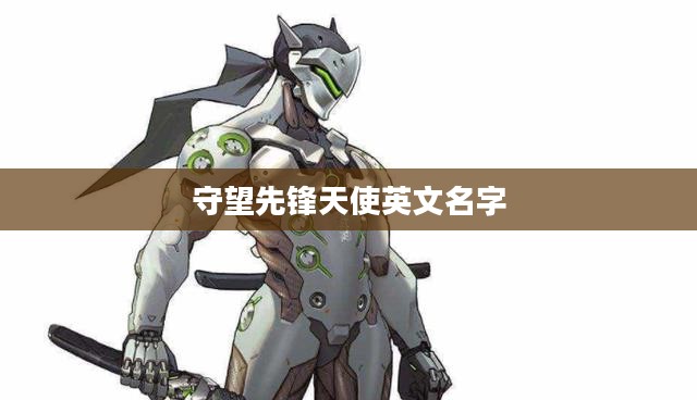 守望先锋天使：治疗与支援的双重使命