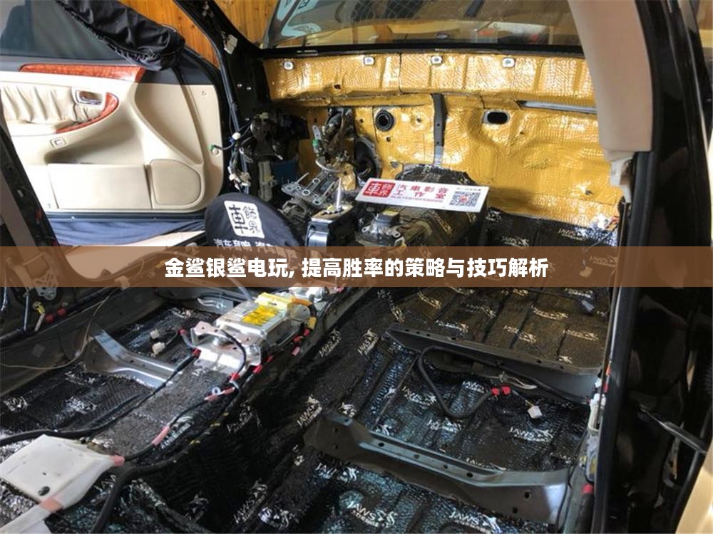 金鲨银鲨电玩, 提高胜率的策略与技巧解析