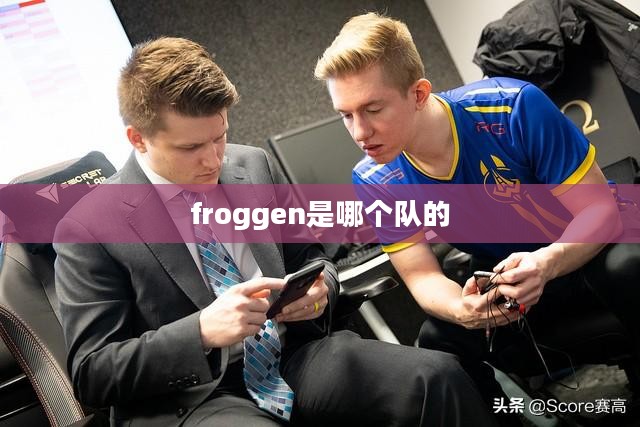  froggen关键词优化策略与成功案例分析 