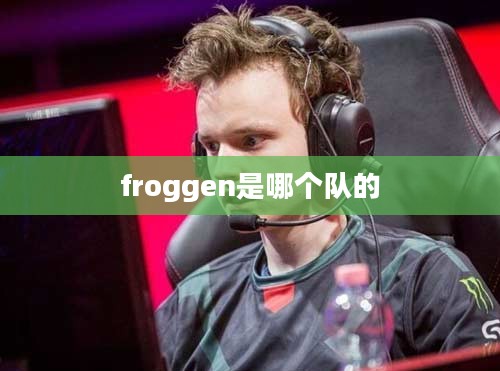  froggen关键词优化策略与成功案例分析 