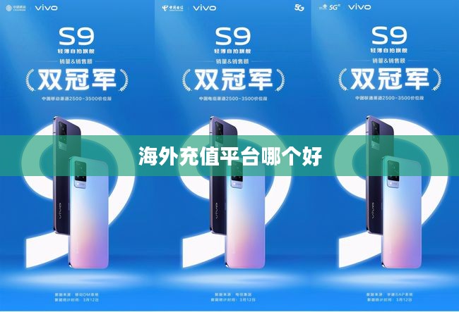 海外充值平台，全球化时代的重要工具