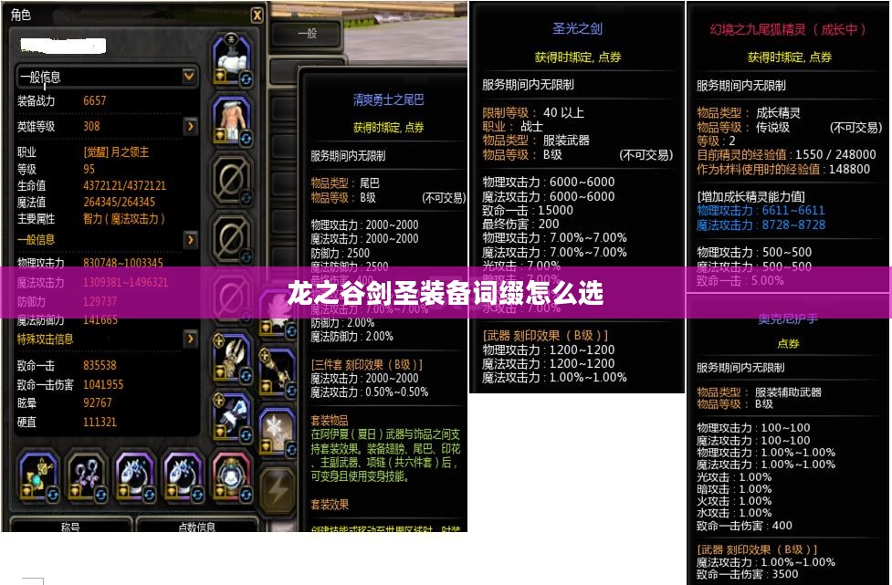 龙之谷剑圣装备选择与搭配策略解析