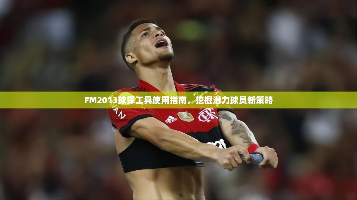 FM2013球探工具使用指南，挖掘潜力球员新策略
