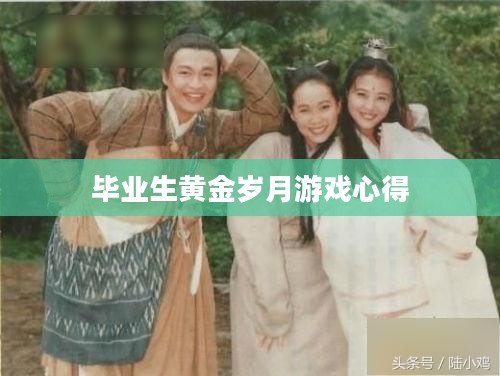 毕业生黄金岁月：职业规划与成长策略解析
