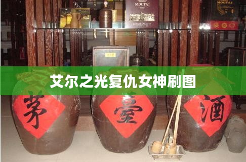 艾尔之光复仇女神角色加点攻略，打造最强输出女神
