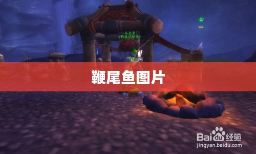 黑水鞭尾鱼，神秘水生世界的优雅舞者解析