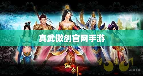 真武傲剑修炼技巧与实战应用解析