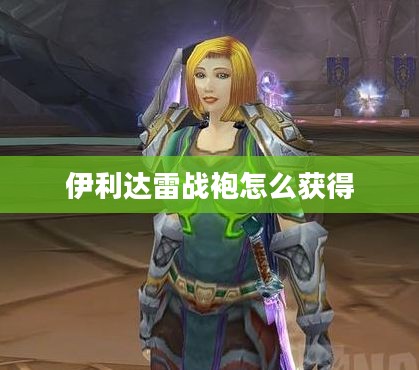 伊利达雷战袍：强大属性与个性彰显的完美结合