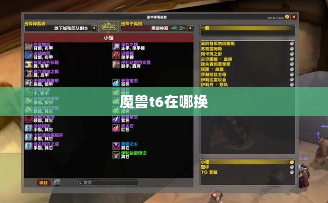 详尽指南:t6更换地点完整解析 详尽指南:t6更换地点完整解析