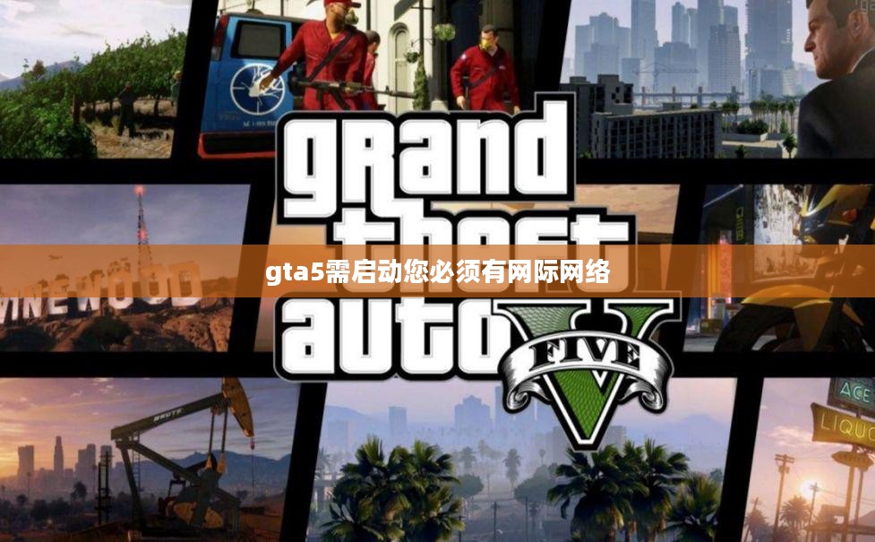 《GTA5》启动故障分析与解决策略