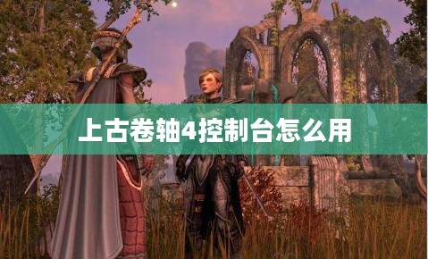 《上古卷轴4：天际》控制台使用详解与技巧解析