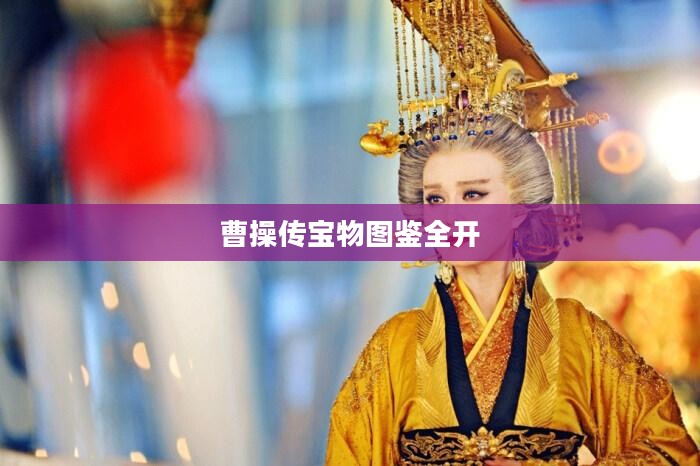 曹操传宝物攻略，解析各类宝物的获取与运用技巧