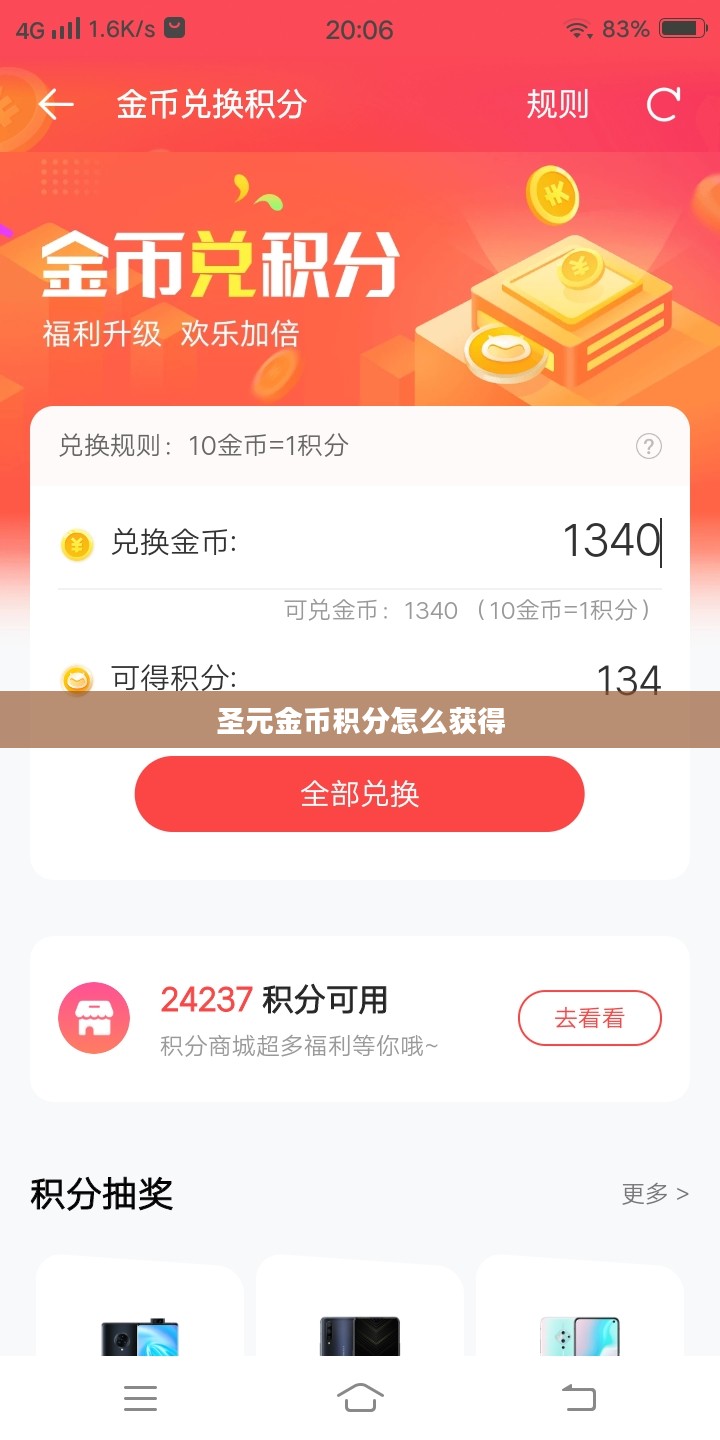 圣元金币积分系统运作机制与实战案例分析