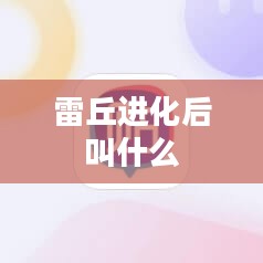 雷丘，闪电之力与战斗技巧的完美结合