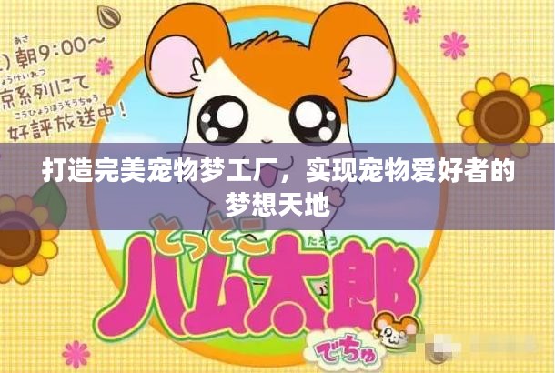 打造完美宠物梦工厂，实现宠物爱好者的梦想天地