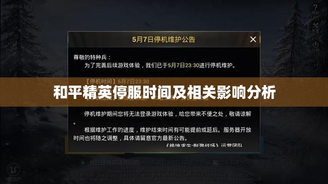 和平精英停服时间及相关影响分析