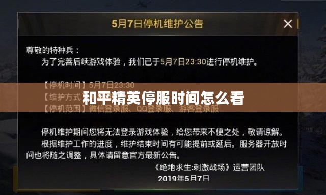 和平精英停服时间及相关影响分析 和平精英停服时间及相关影响分析