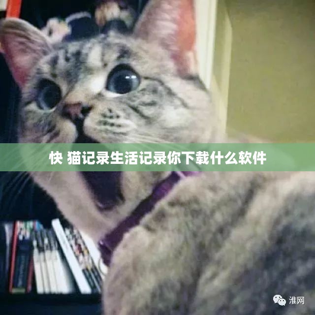 快猫记录生活:便捷记录,保存每一刻精彩 快猫记录生活:便捷记录,保存每一刻精彩