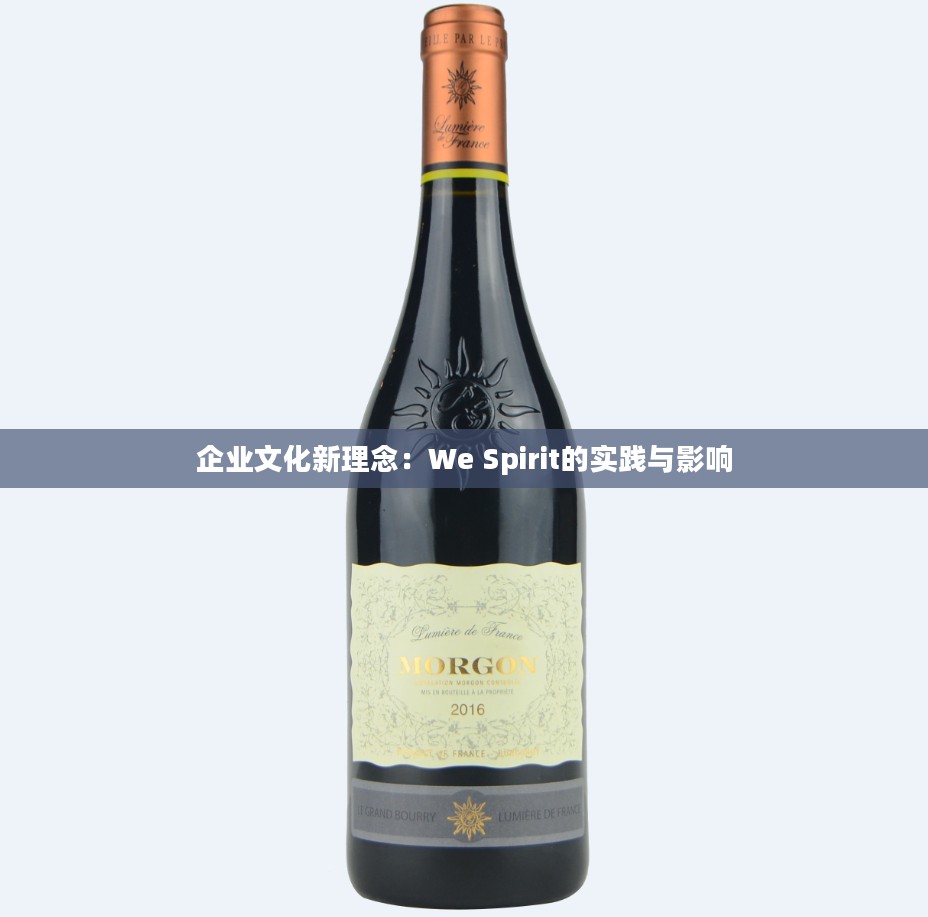 企业文化新理念:We Spirit的实践与影响 企业文化新理念:We Spirit的实践与影响
