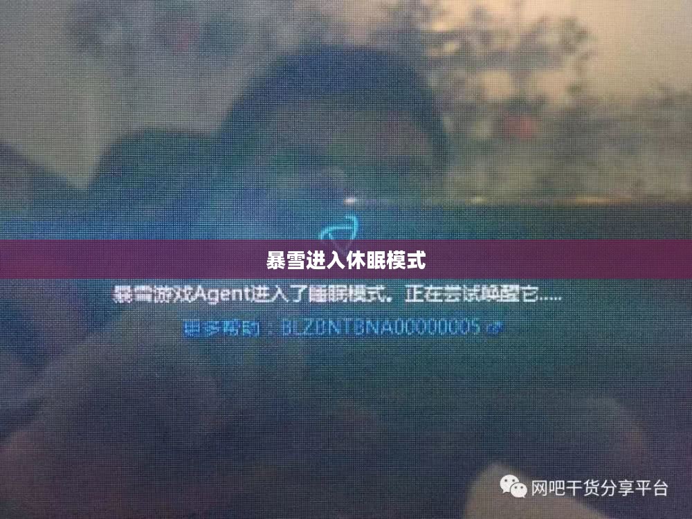 暴雪游戏agent进入睡眠模式解析与解决方法