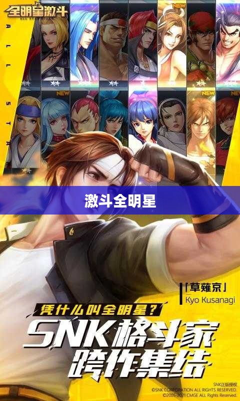 动漫明星激斗传:特色角色与激战策略解析 动漫明星激斗传:特色角色与激战策略解析