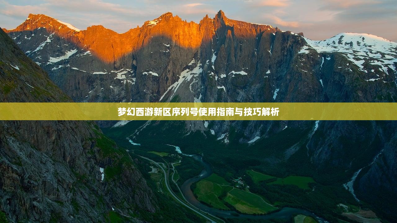 梦幻西游新区序列号使用指南与技巧解析 梦幻西游新区序列号使用指南与技巧解析