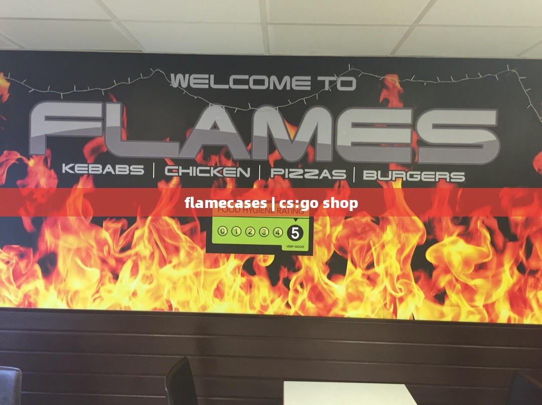 Flamecases手机壳：创新设计与高品质材料的完美结合