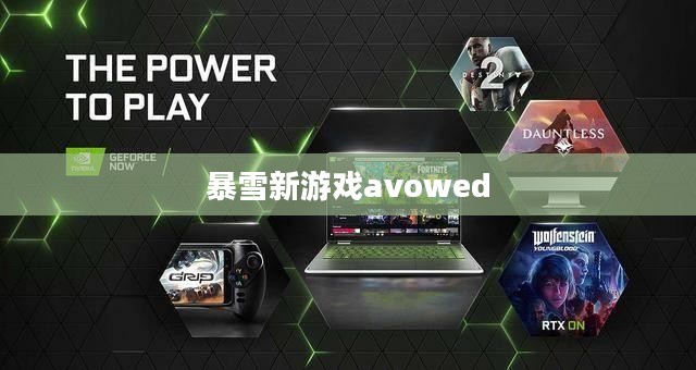 暴雪新游戏：特色玩法与市场展望解析
