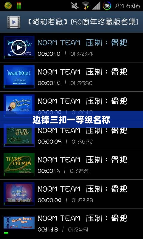 边锋新三扣一算牌器功能解析与实战应用 边锋新三扣一算牌器功能解析与实战应用