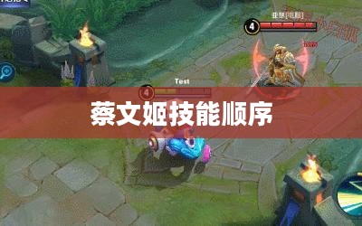 蔡文姬技能详解与实战应用指南