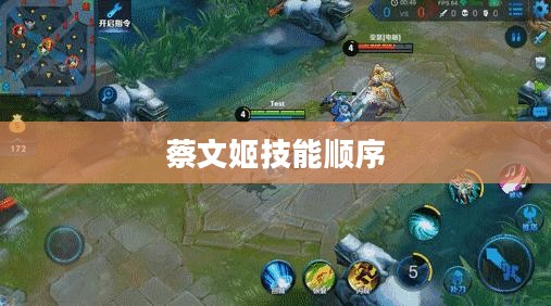蔡文姬技能详解与实战应用指南 蔡文姬技能详解与实战应用指南