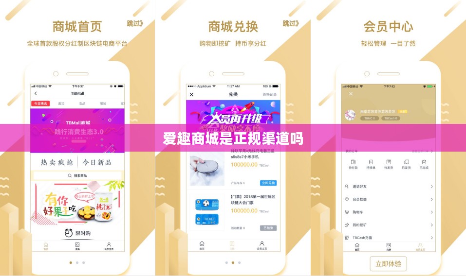 爱趣商城运营模式与市场定位深度解析