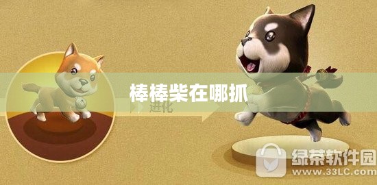 棒棒柴高效环保特性与使用优势解析