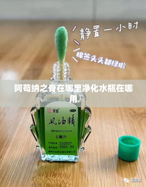 阿苟纳之骨,神秘传说与SEO优化解析