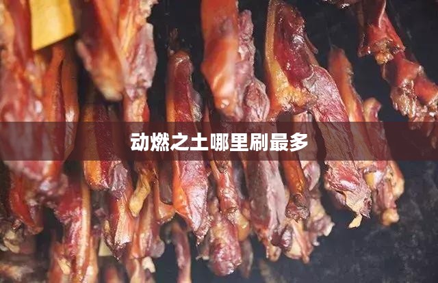 动燃之土在现代科技与工程领域的应用与价值解析